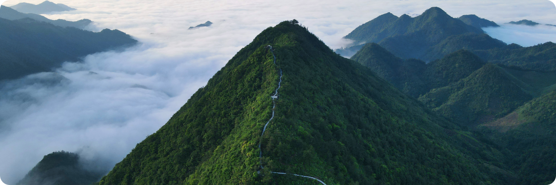 滨江集团