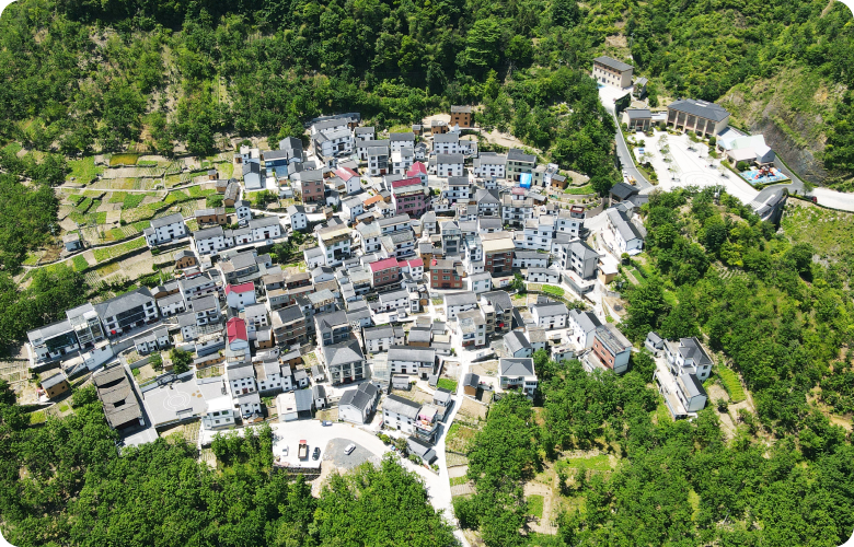 滨江集团